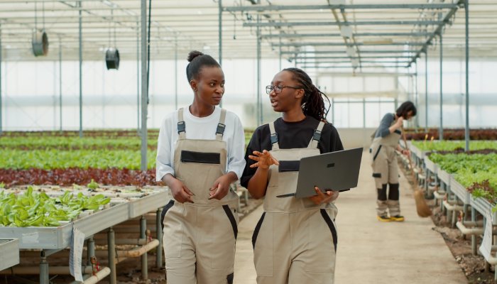 Two women walking together through a greenhouse farm. One of them is holding a laptop while they're talking.