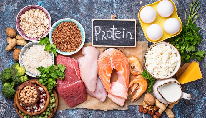 A variety of protein sources, including meats, nuts, and dairy products, displayed with a chalk sign labeled "Protein."