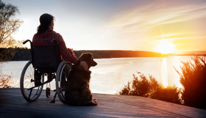 A woman in a wheelchair sitting on the edge of a dock looking out at the sunset over a lake. A dog is with her.